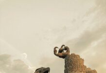 Giant Eagle Sheffield Village: Why Shoppers Can’t Stop Talking