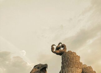 Giant Eagle Sheffield Village: Why Shoppers Can’t Stop Talking