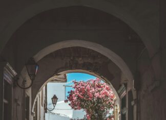 Village Of Sheffield: Discover The Hidden Charms And Secrets