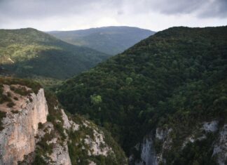 Texas Challenge Academy Sheffield: Discover The Ultimate Youth Transformation Program