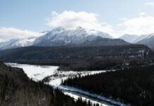 Sheffield AL Weather: Discover Surprising Facts and Top Tips