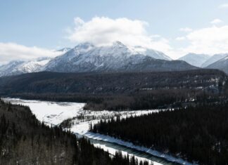 Sheffield AL Weather: Discover Surprising Facts and Top Tips