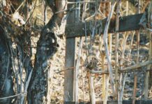 Sheffield Village: Discover Hidden Gems And Local Secrets Today