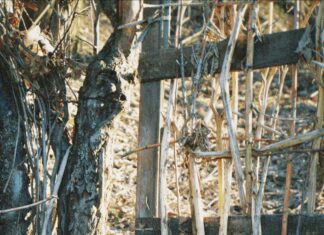 Sheffield Village: Discover Hidden Gems And Local Secrets Today