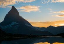 Sheffield Wednesday Vs Swansea: Who Will Triumph In This Epic Clash?