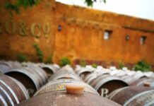 Sheffield Liquidation Secrets: How To Navigate Business Closure Smoothly