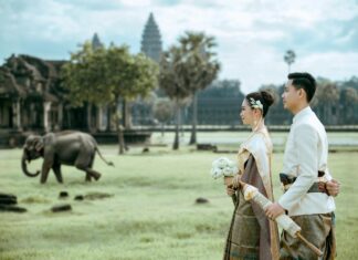 Sheffield United Vs Arsenal Timeline: Unmissable Moments Revealed