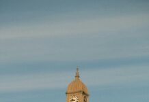 Sheffield Mall Collierville TN: Discover Hidden Gems & Must-Visit Spots