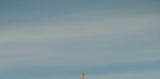 Sheffield Mall Collierville TN: Discover Hidden Gems & Must-Visit Spots