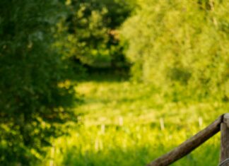 Sheffield’s Wine & Beer Garden: Discover The Ultimate Outdoor Escape