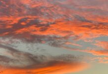 Sheffield Motors Secrets Revealed: Why They’re Britain’s Best Choice