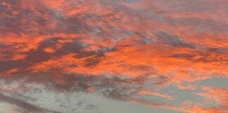 Sheffield Motors Secrets Revealed: Why They’re Britain’s Best Choice