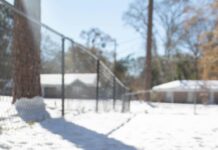 Weather For Sheffield Alabama: Discover Surprising Climate Facts Today