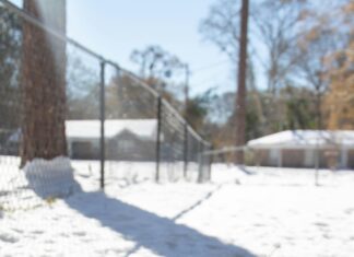 Weather For Sheffield Alabama: Discover Surprising Climate Facts Today