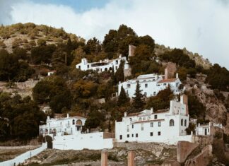 Mister Sheffield: Discover The Charm Behind This Unique Name