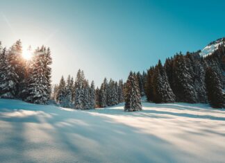 Middlesbrough Vs Sheffield Wed: Who Will Triumph In This Clash?
