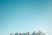 Brentford F.C. Vs Sheffield Wednesday Lineups: Who Will Dominate?