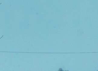 Sheffield MA Weather: Discover Surprising Climate Facts Today