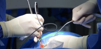 Sheffield Dr: How Can This Expert Transform Your Health Today?