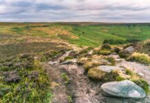 Sheffield IA Secrets Revealed: Why It’s Your Next Dream Destination