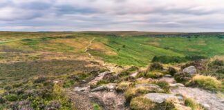 Sheffield IA Secrets Revealed: Why It’s Your Next Dream Destination