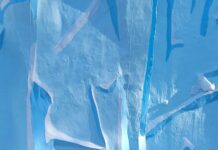 Sheffield Lake City Schools: Discover Top Education Secrets Today