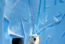 Arctic Monkeys Tickets Sheffield: How To Secure The Best Seats Fast