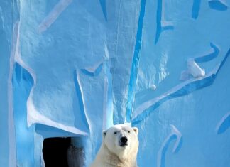 Arctic Monkeys Tickets Sheffield: How To Secure The Best Seats Fast