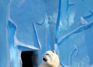 Arctic Monkeys Sheffield Tickets: Where To Find The Best Deals?