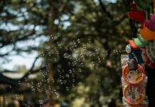 Sheffield Family Life: Discover Hidden Gems for Memorable Moments