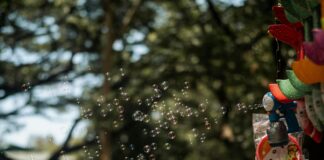 Sheffield Family Life: Discover Hidden Gems for Memorable Moments