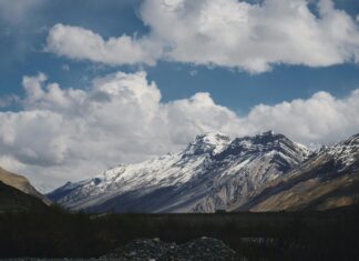 Sheffield Wednesday Vs West Brom: Who Will Dominate The Pitch?