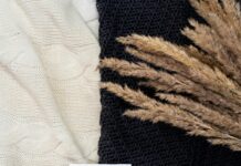 Sheffield Wednesday Fixtures: What To Expect This Exciting Season