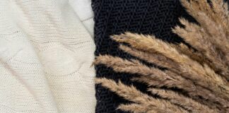 Sheffield Wednesday Fixtures: What To Expect This Exciting Season