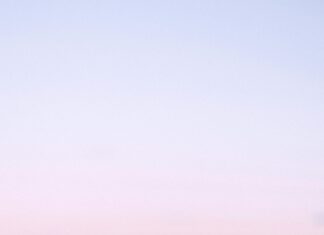 Sheffield United Vs Derby: Which Team Will Dominate The Clash?