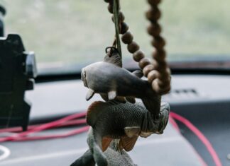 Bass Mazda Sheffield Ohio: Discover The Ultimate Car Buying Experience