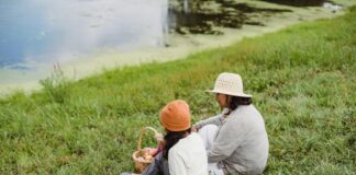 Apples Sheffield Lake: Discover Why Locals Are Obsessed With Them