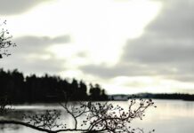 Sheffield Lake Weather: What Surprising Changes Should You Expect?