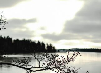 Sheffield Lake Weather: What Surprising Changes Should You Expect?