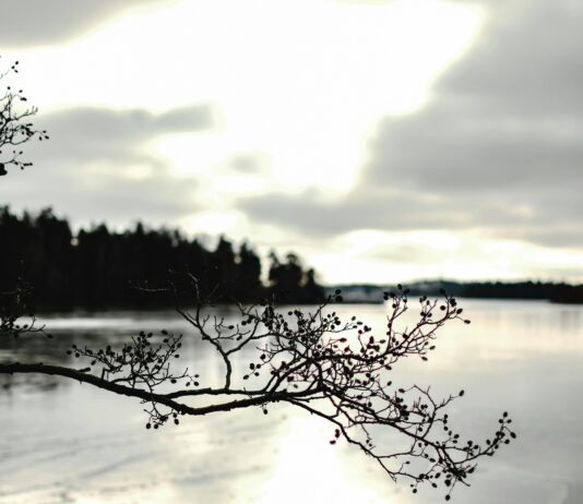 Sheffield Lake Weather: What Surprising Changes Should You Expect?