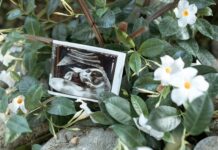 Sheffield Family Life Center: Discover Amazing Support and Services