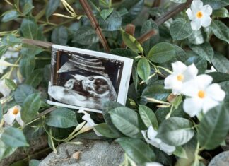 Sheffield Family Life Center: Discover Amazing Support and Services