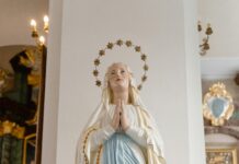 Mary Sheffield: Who Is She And Why Is Everyone Talking About Her?