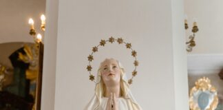 Mary Sheffield: Who Is She And Why Is Everyone Talking About Her?