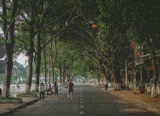 Sheffield MA Secrets Revealed: Why Locals Love This Charming Town