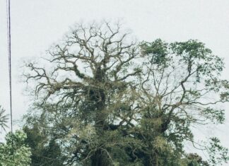 Sheffield Road Secrets: Discover Hidden Gems and Local Wonders