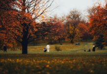 Sheffield Regional Park Secrets: Why Visitors Can’t Stop Exploring