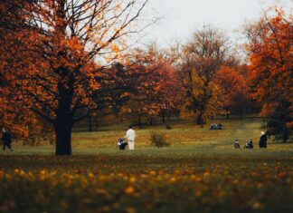 Sheffield Regional Park Secrets: Why Visitors Can’t Stop Exploring