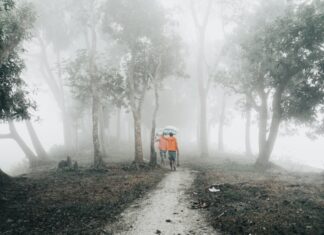 Sheffield Lake City Secrets: Why Locals Love Living Here