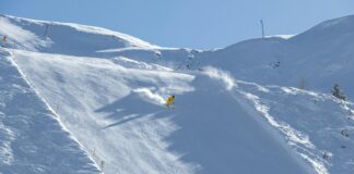 Sunderland Vs Sheffield Wed: Who Will Dominate This Thrilling Clash?